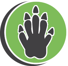 TJs Lizard Pest Control