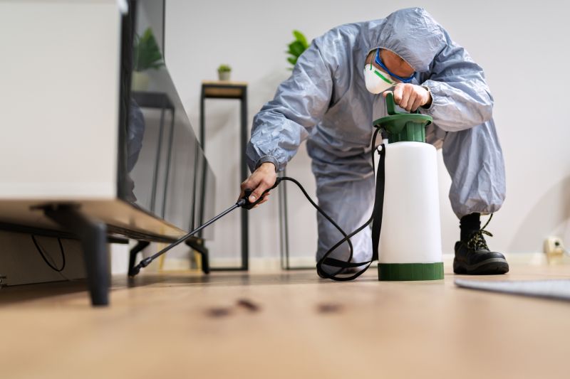 Pest Extermination Service in Katy, TX