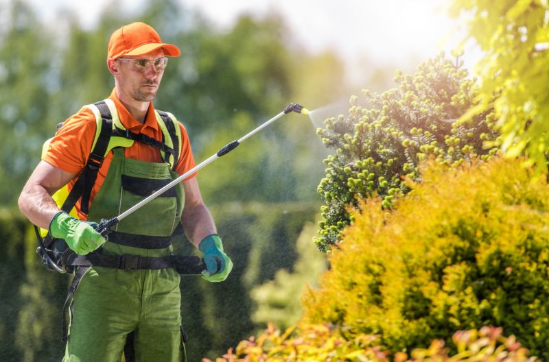 Cost of Lizard Pest Control — Cost of Lizard Pest Control